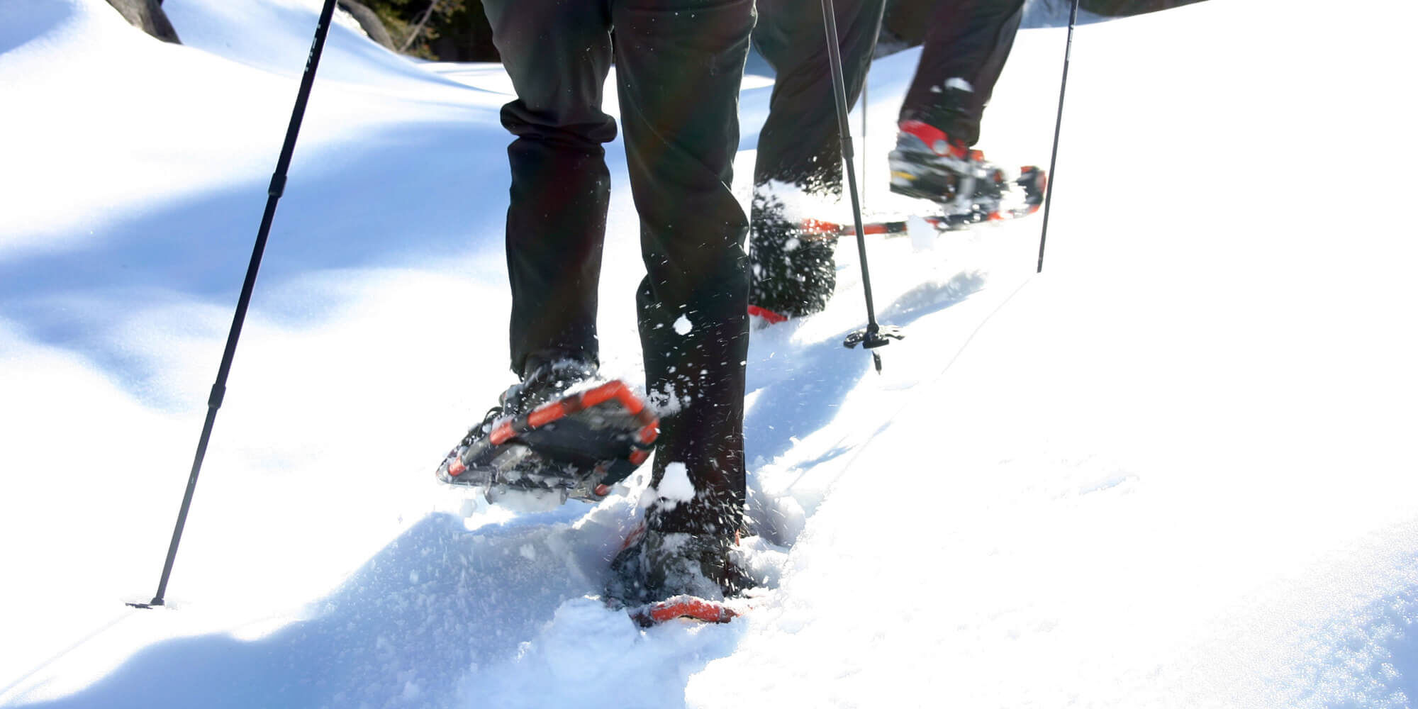 Trail conditions throughout the Rangeley Lakes Region, nordic, snowshoe, ski